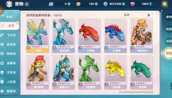 魔力宝贝私服最热门宠物排行榜